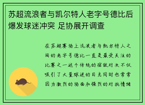 苏超流浪者与凯尔特人老字号德比后爆发球迷冲突 足协展开调查